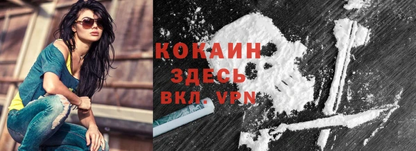 соль ск Абаза