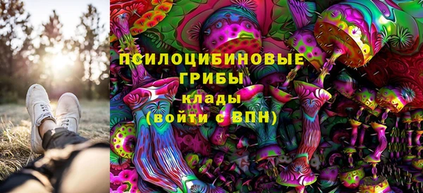 соль ск Абаза